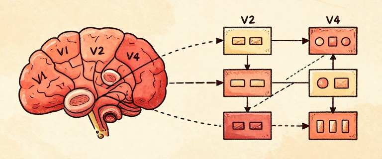NARRATOR: The network arrived at the same solution as the brain.